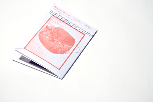 Print-Portfolio_Saskia_Friedrich_7.png