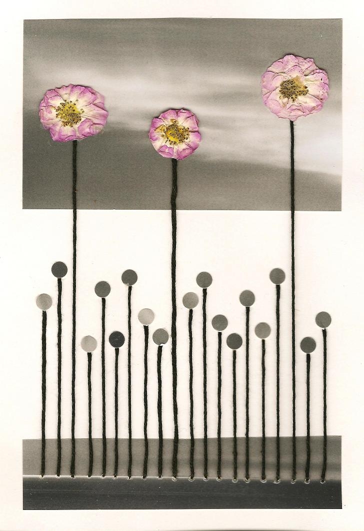 seaflowers2.jpg