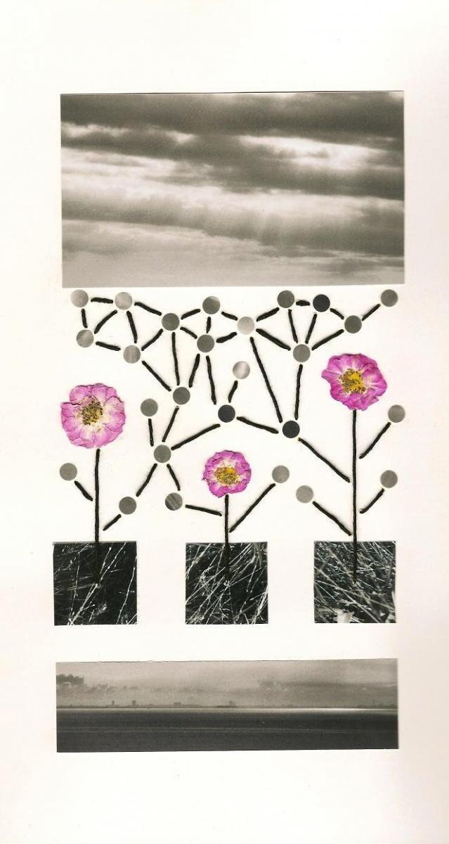 seaflowers3.jpg
