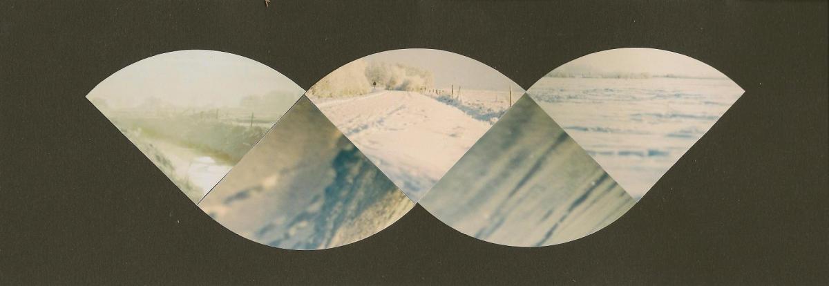 wintershape.jpg