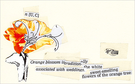08_orange.jpg