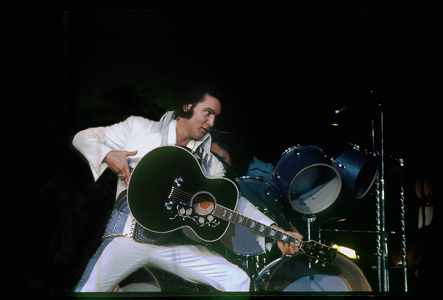 elvis_by-Carl-Dunn_.jpg