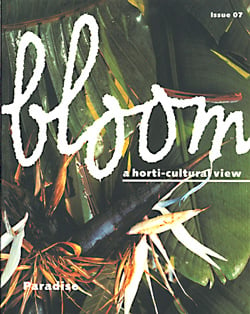 bloom01.jpg