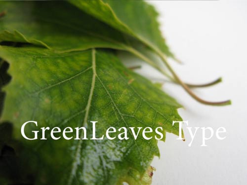 greenleavestype_1.jpg