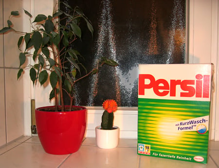 persil01.jpg