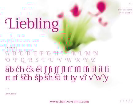 specimen-liebling1.jpg