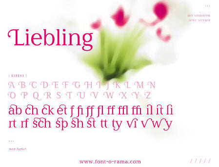 specimen-liebling1.jpg