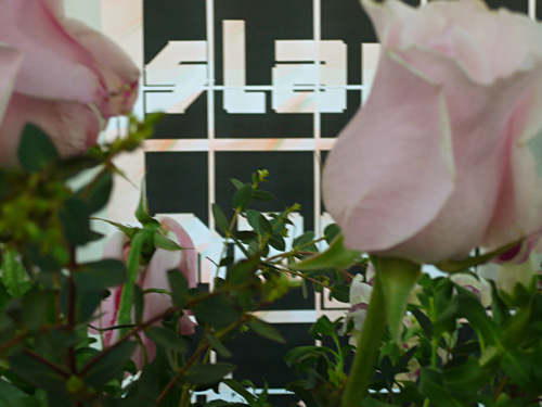typo07_12.jpg