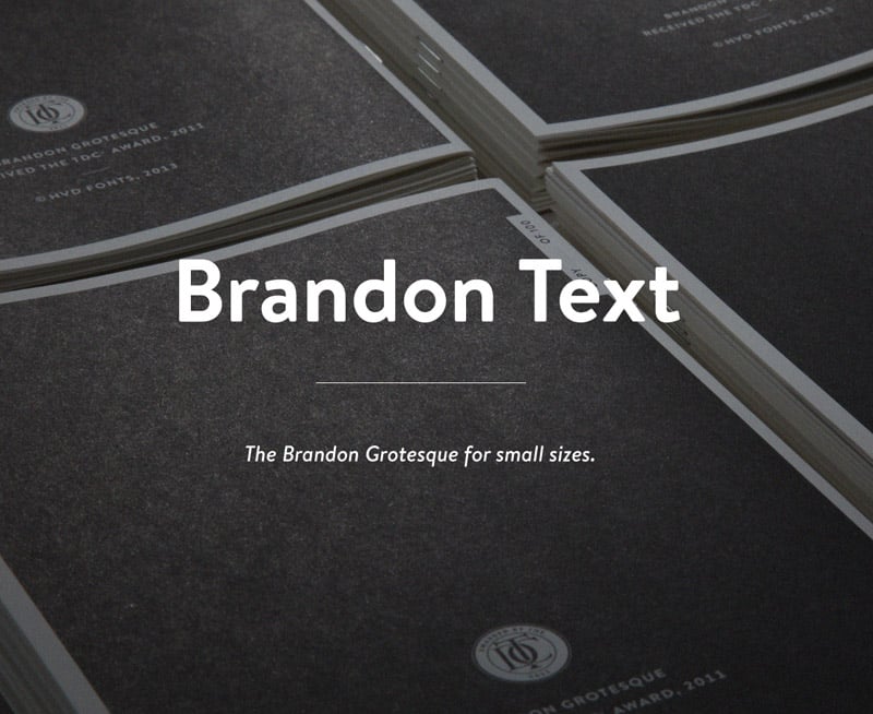 brandon_text_slanted_01.jpg