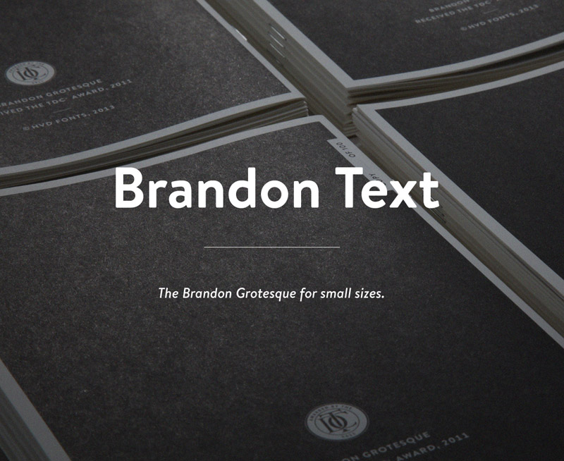 brandon_text_slanted_01.jpg