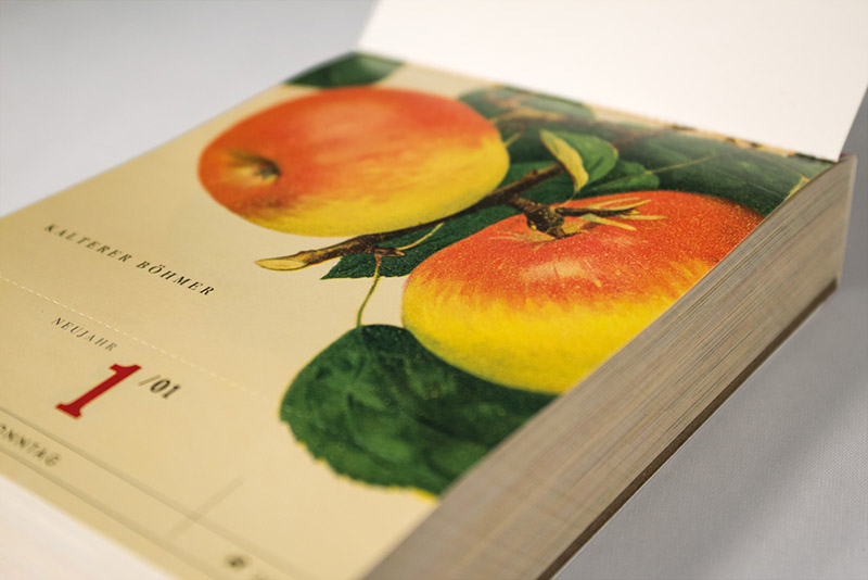 slanted_kalender_an_apple_a_day_002