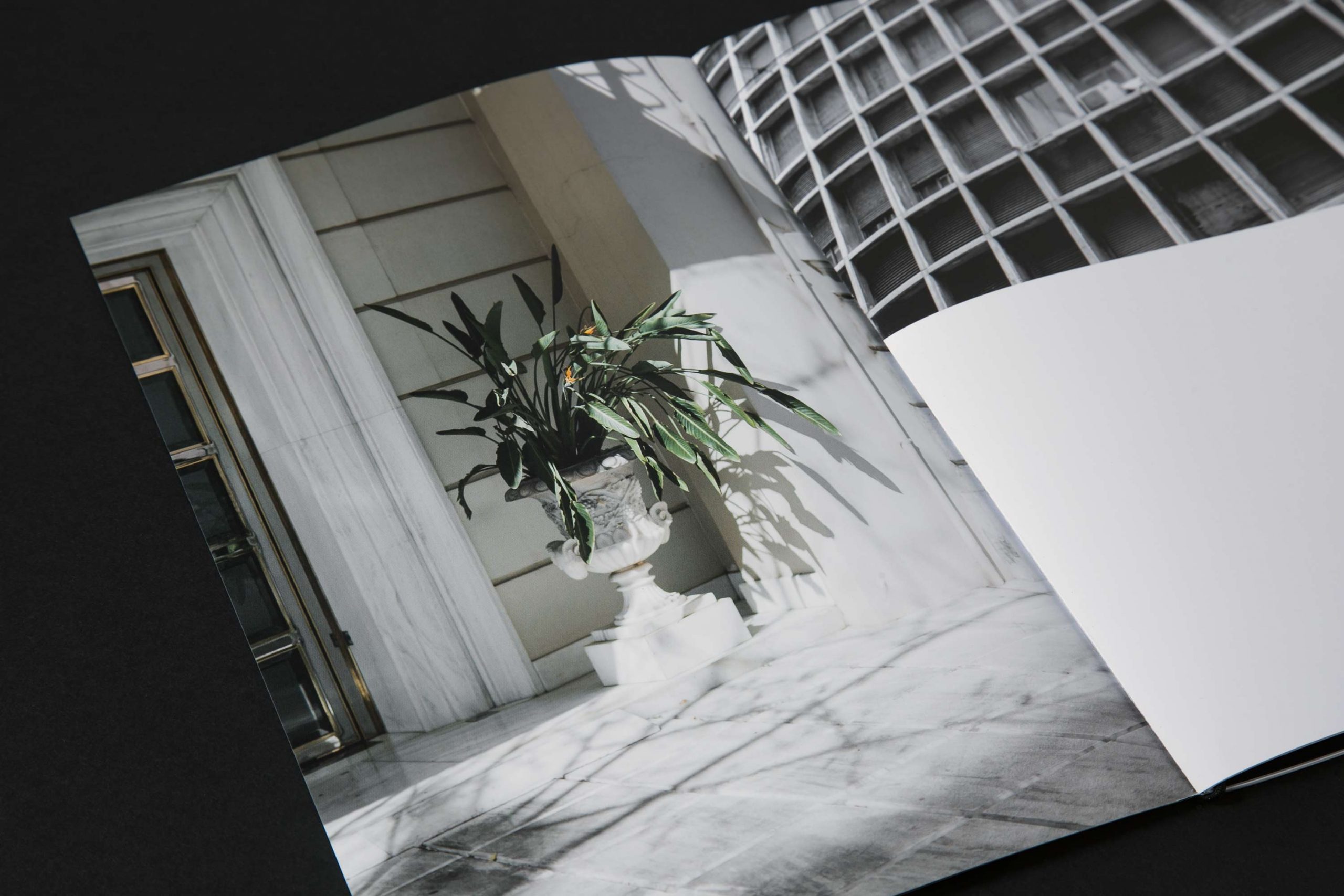 Special Edition Athens Special Edition Athens