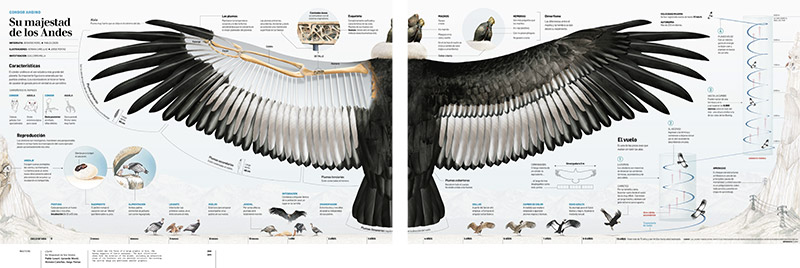 slanted-visual-journalism-05.jpg