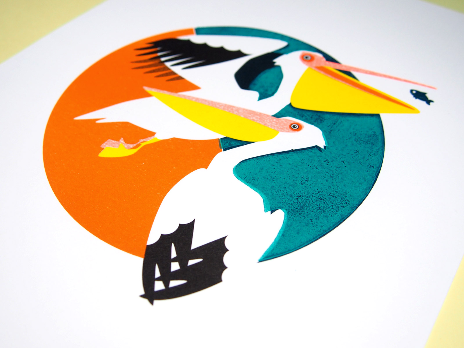 Risoprint_Pelikane_03