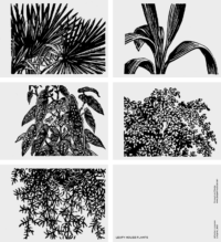 Set of Postcards (A6) | Leafy House Plants