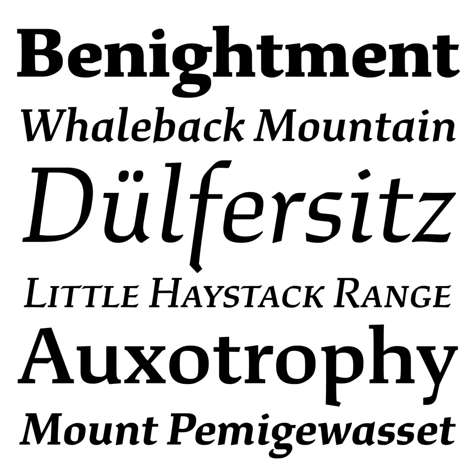 Slanted-Typefaceofthemonth-Study-XYZFundry-02