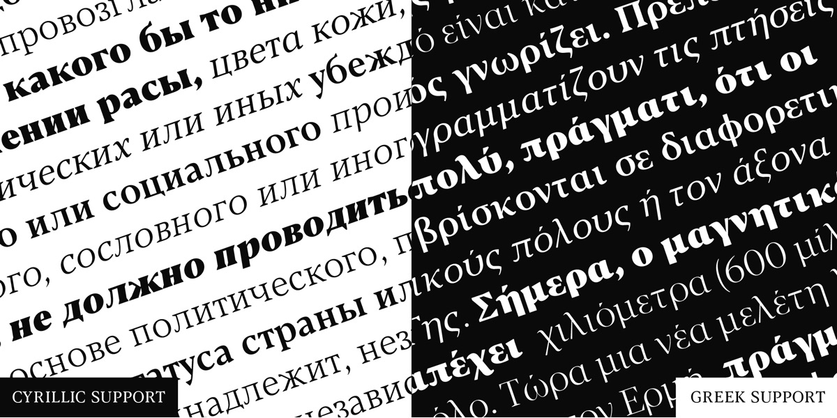 Slanted-Typeface-of-the-month-zetafonts-blacker20191028-0015