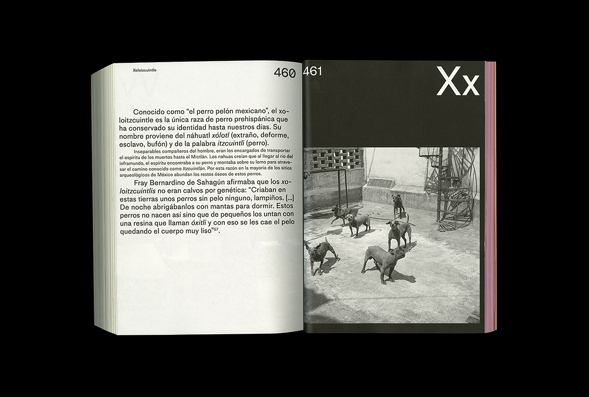 L_12_Blok_Origen-Mexico_Spread-Black-Scan