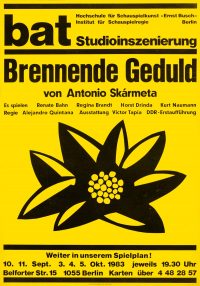 Original Poster