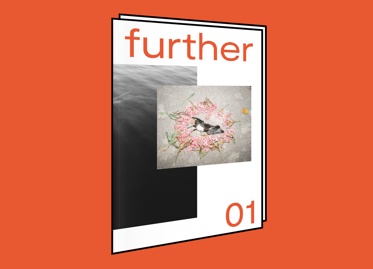 FURTHER 01