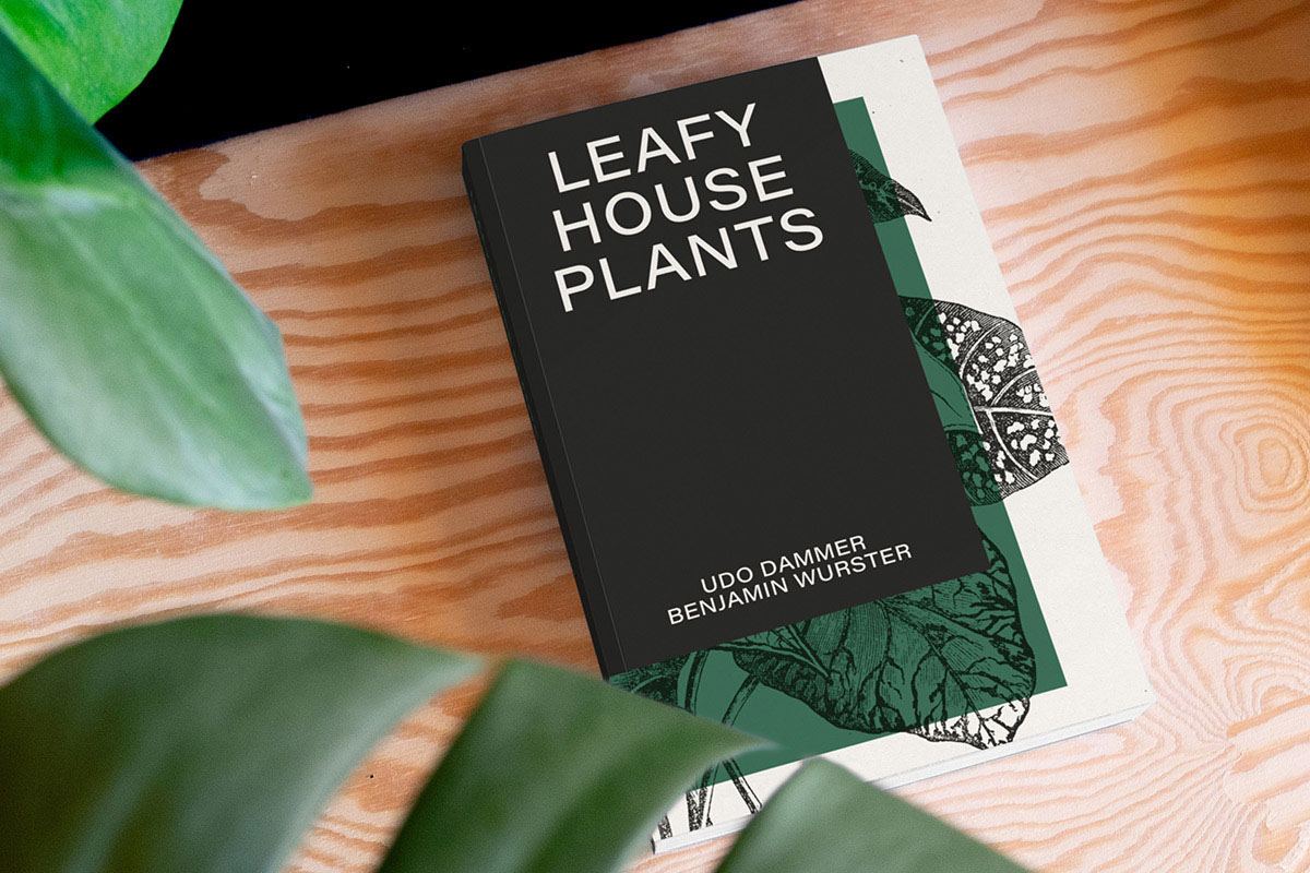 Leafy House Plants Cover Plant