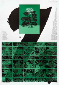 Silkscreen Poster (A1) | Leafy House Plants