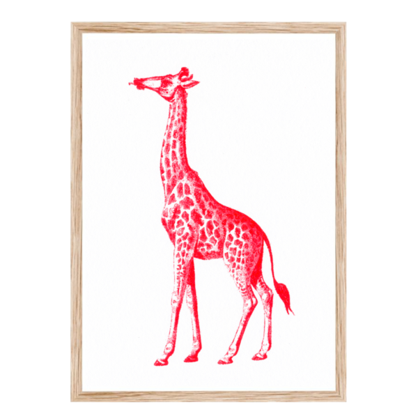Artprint Giraffe | Risograph Art Print