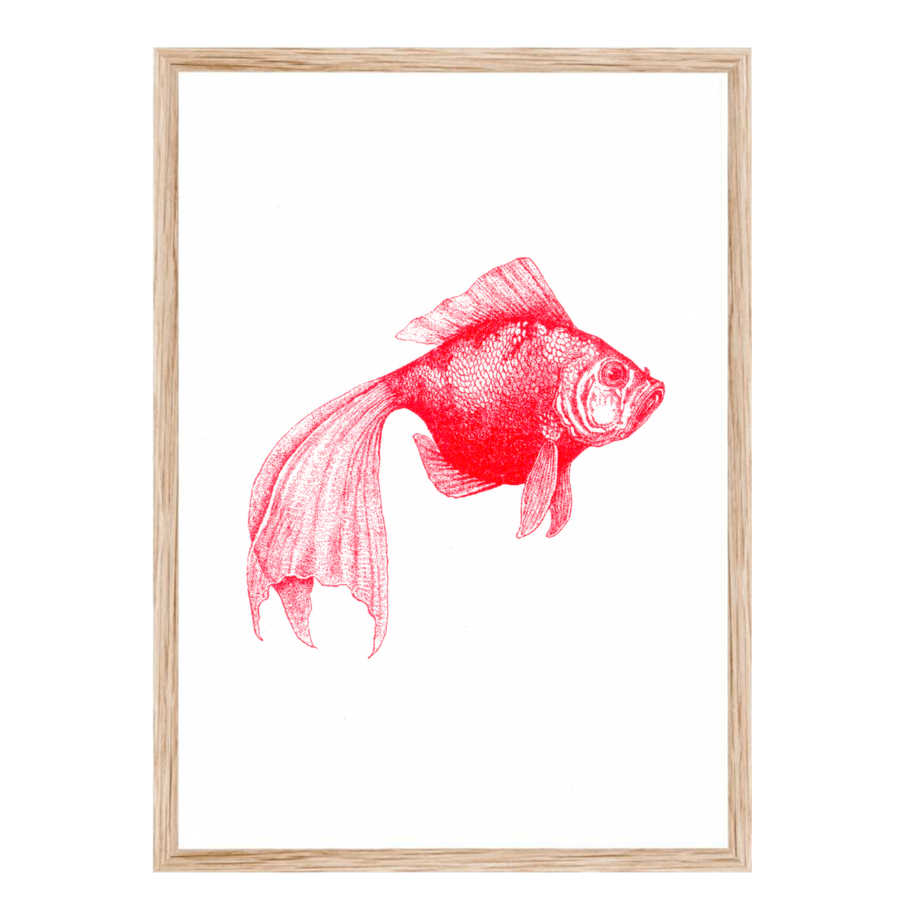 Artprint Schleierfisch | Risograph Art Print