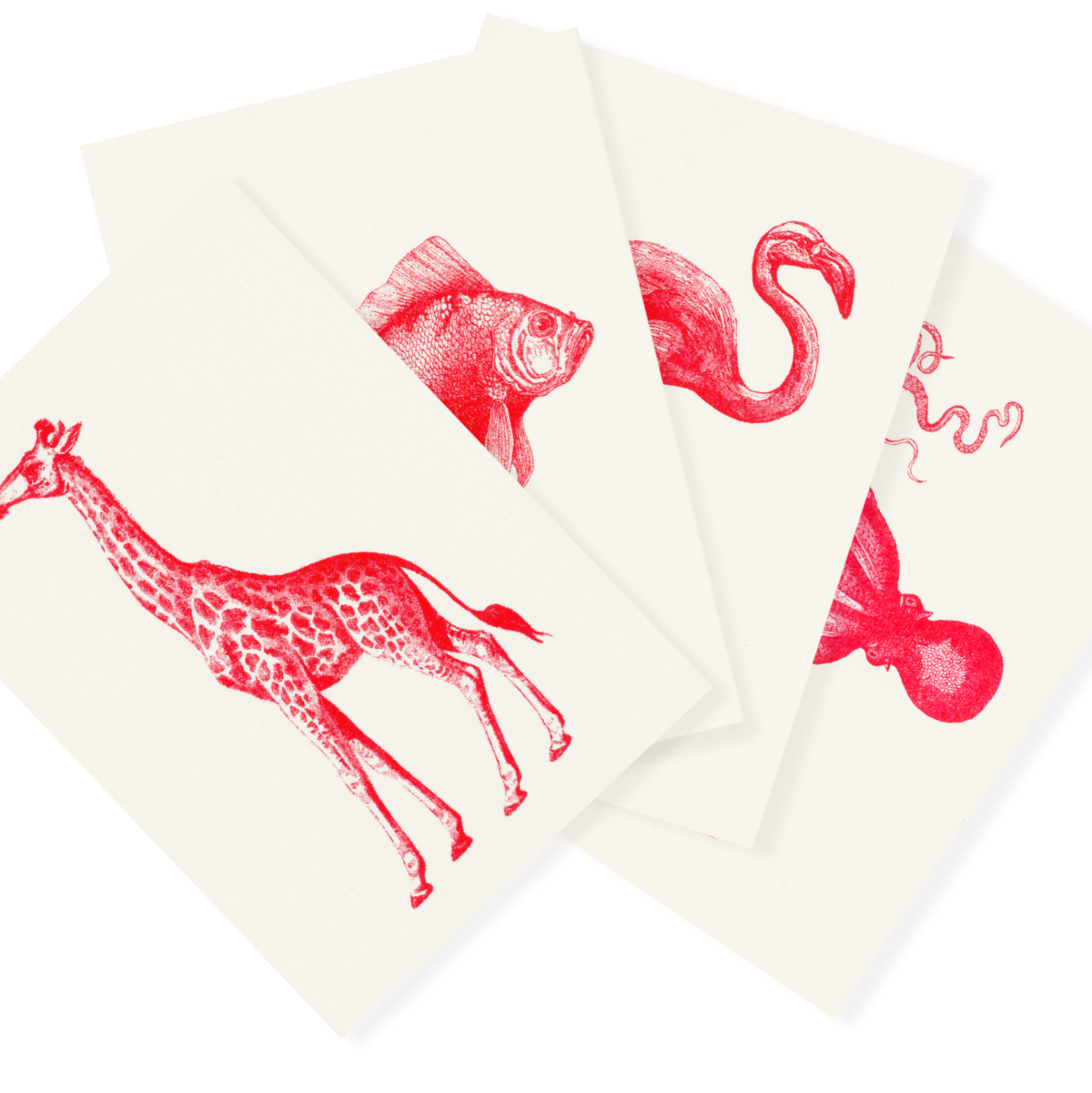 Roter Zoo | Red Zoo | 4 Monochrome Risograph Postcards