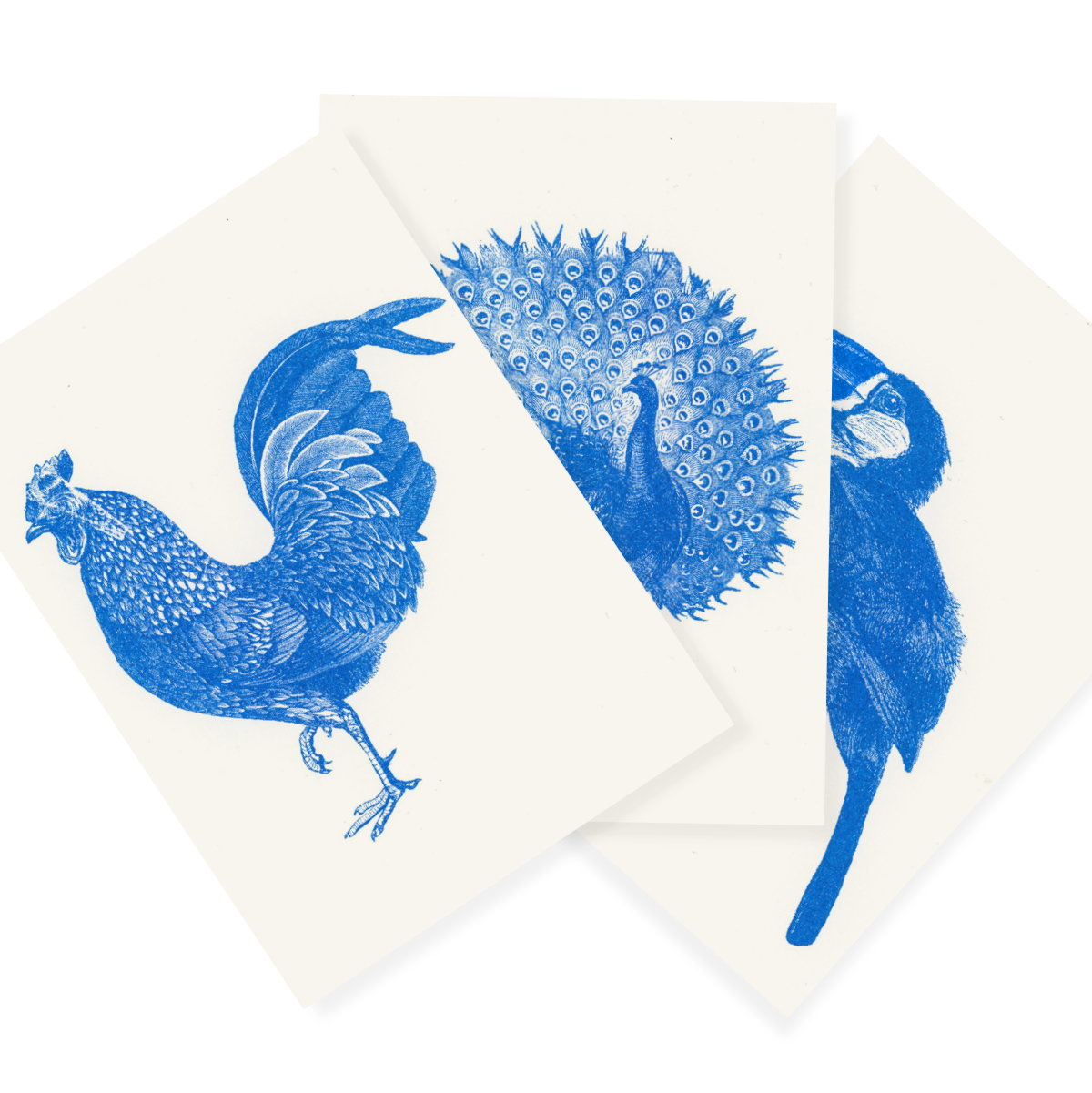 Blauer Zoo | Blue Zoo | 3 Risograph Postcards by Herr und Frau Rio