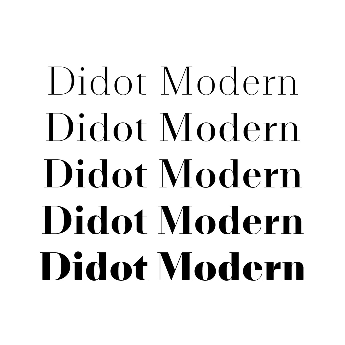 Slanted-Nouvelle-Noire-Didot-Modern_03