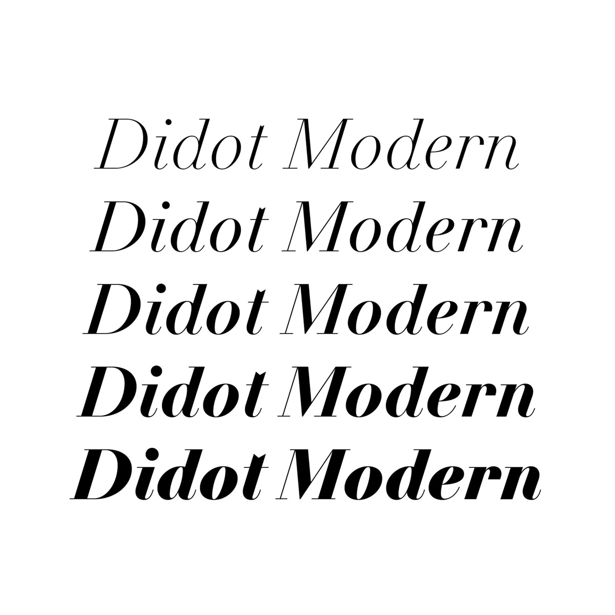 Slanted-Nouvelle-Noire-Didot-Modern_07