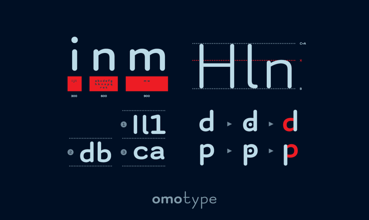 2022-04-29_626bcd60acf71_OmoType_Anatomy