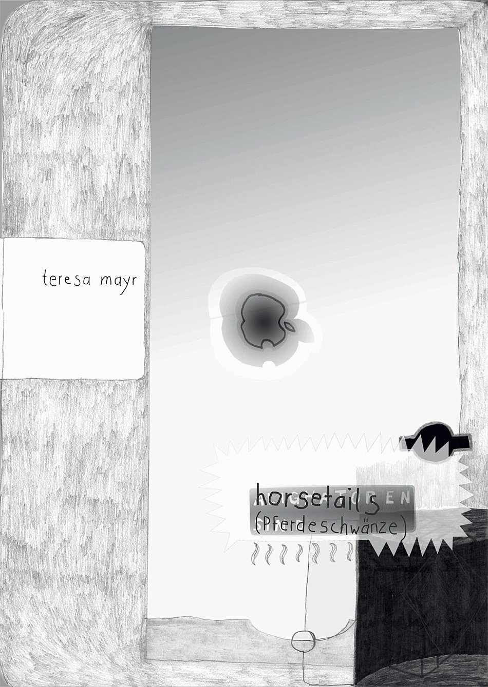 Teresa Mayr – horsetails (Pferdeschwänze)