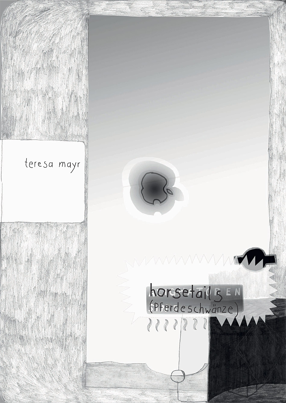 Teresa Mayr – horsetails (Pferdeschwänze)