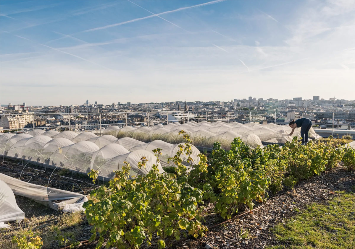 Urban Farmers