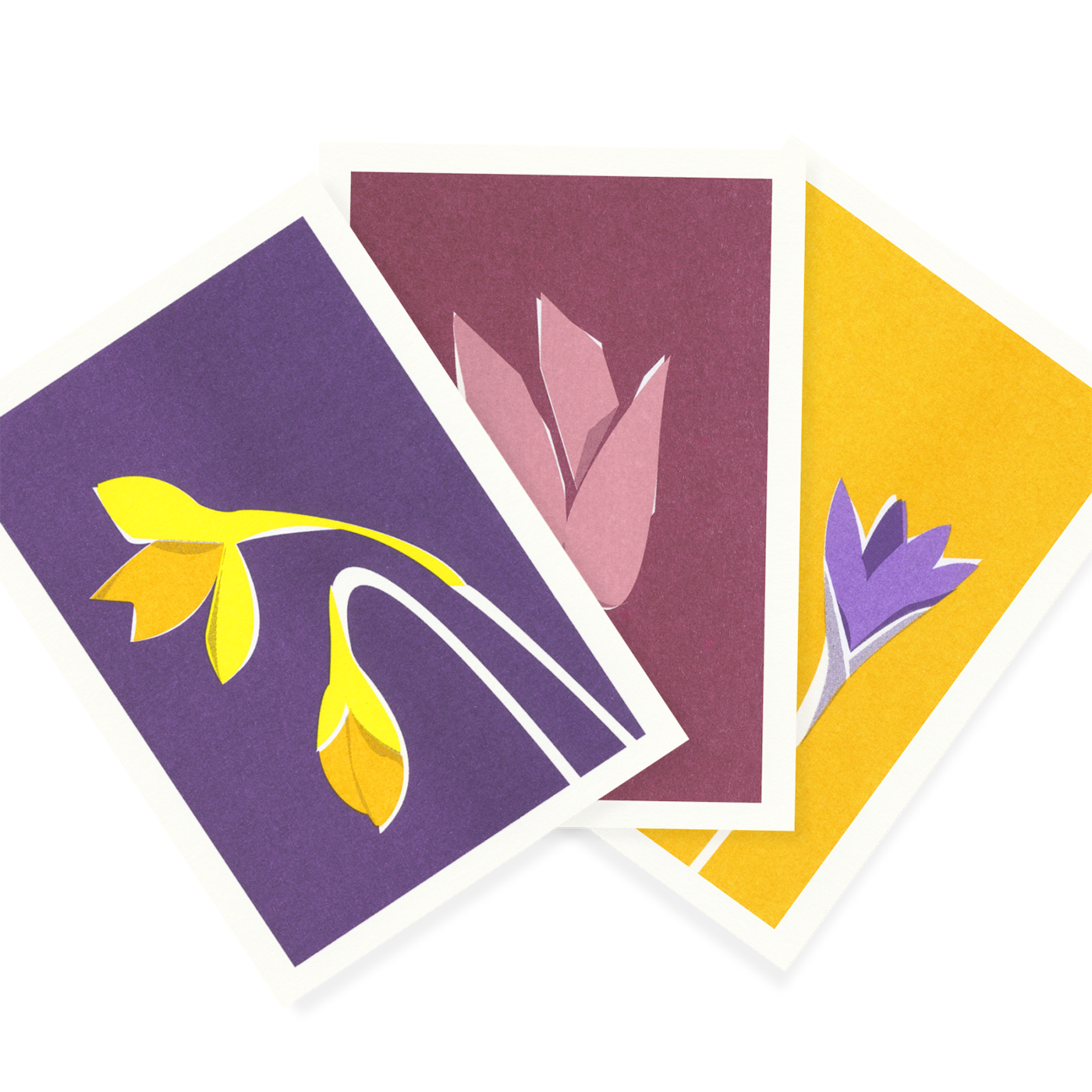 Frühlingsblumen | Spring flowers | 3 Risograph Postcards