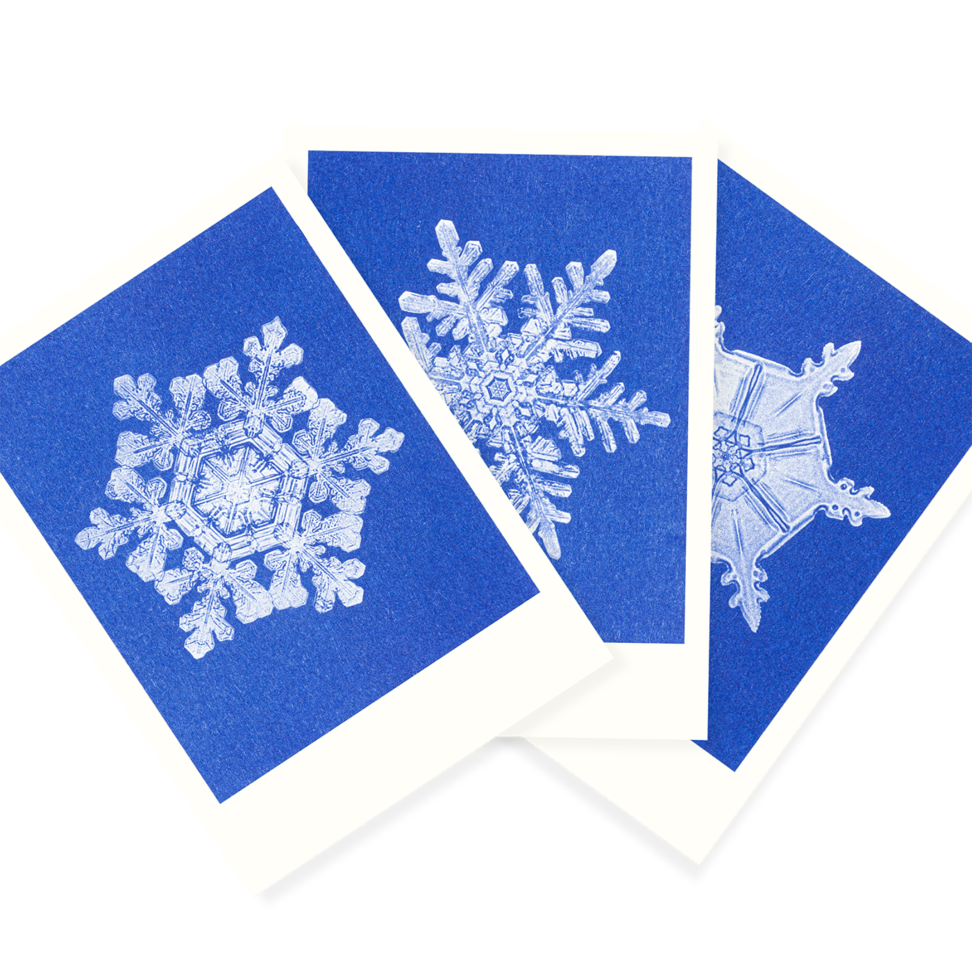 Schneeflocken | Snowflakes | 3 Risograph Postcards