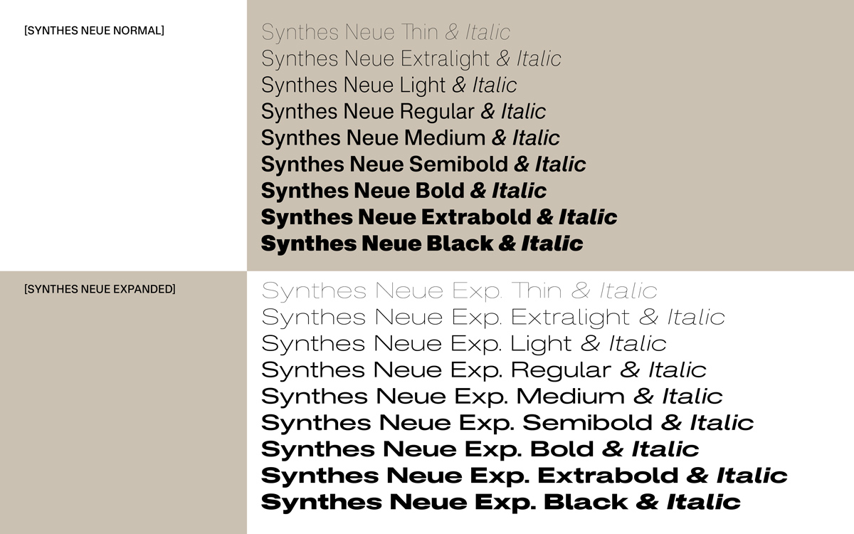BLAZE-TYPE-SYNTHES-FONT-FAMILY--2
