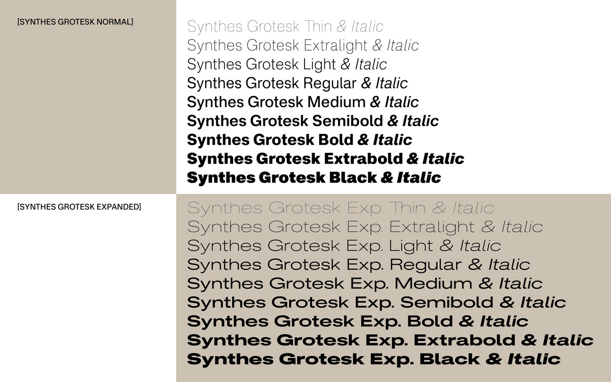 BLAZE-TYPE-SYNTHES-FONT-FAMILY--3