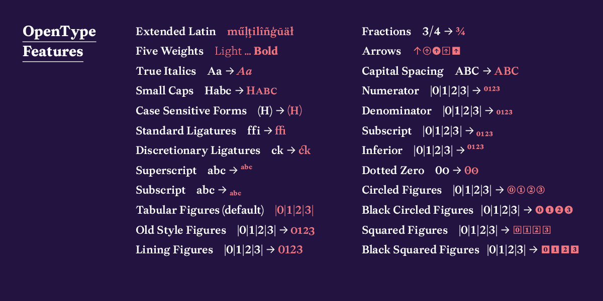 2025-09-07_68bd820f5396a_AllrounderBaroque-8