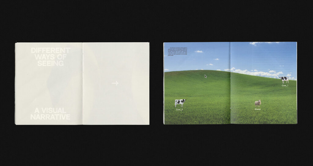 Different Ways of Seeing