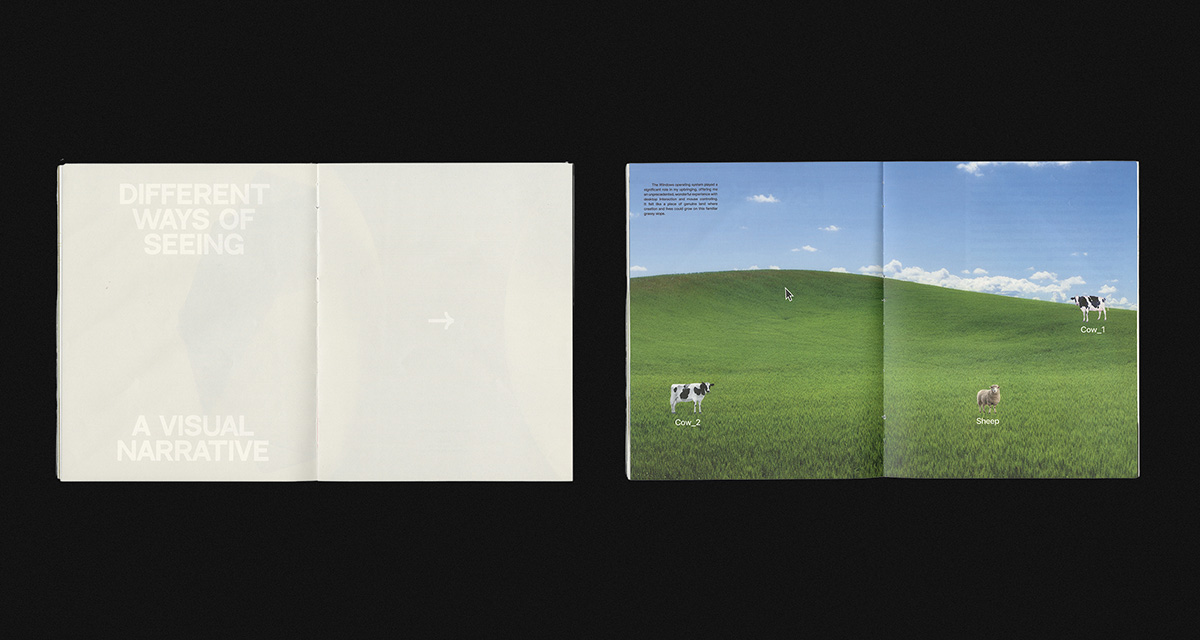 Different Ways of Seeing