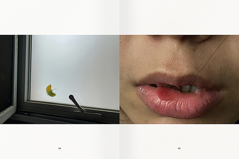 2025-10-17_68f28236a35ef_WHITELIES-INDEX_01_Spreads_08 2025-10-17_68f28236a35ef_WHITELIES-INDEX_01_Spreads_08