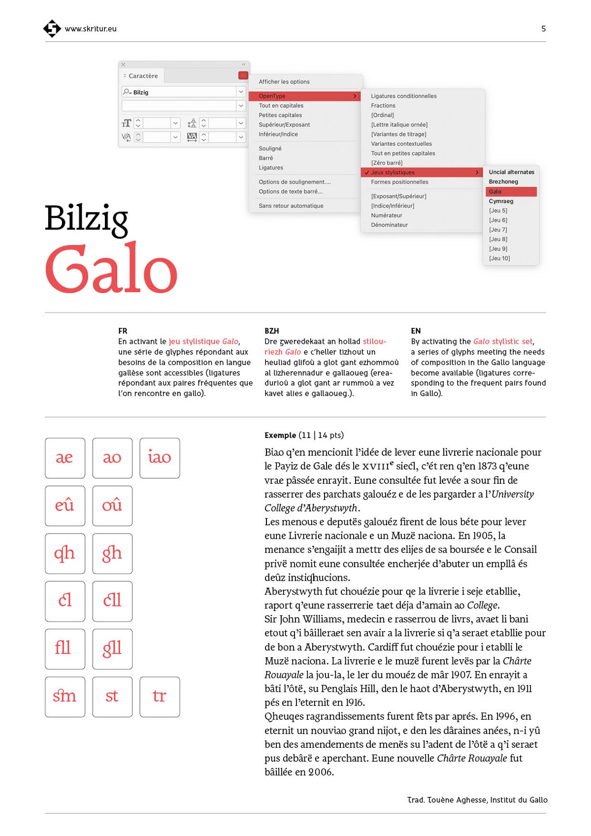2025-11-20_691ee6a5de382_24-Skritur-Specimen-Bilzig05 2025-11-20_691ee6a5de382_24-Skritur-Specimen-Bilzig05