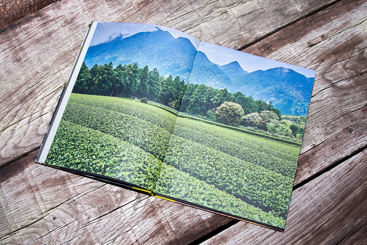 slanted-teatrip-japan-06