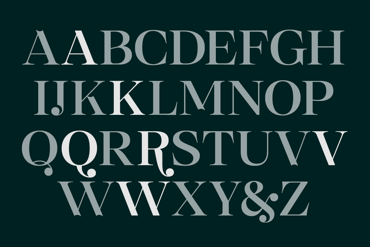 2025-12-09_69381fffb2141_Selestin_Slanted_2 2025-12-09_69381fffb2141_Selestin_Slanted_2