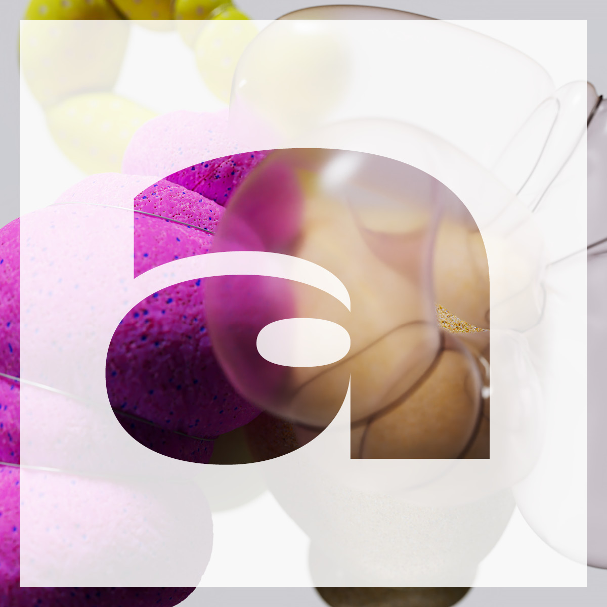 2025-12-15_69403556c2870_GLRY_TypePortraits_SeMacro_Slanted_251208_04 2025-12-15_69403556c2870_GLRY_TypePortraits_SeMacro_Slanted_251208_04