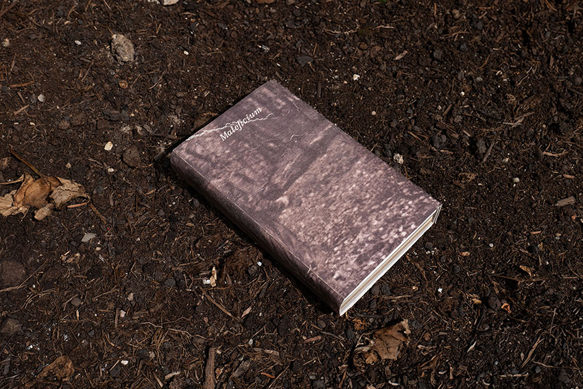 Maleficium / Sycorax