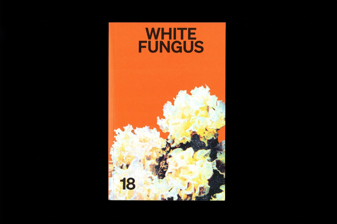 2026-01-16_696a097b2a26d_WF18_spreads_00011 2026-01-16_696a097b2a26d_WF18_spreads_00011